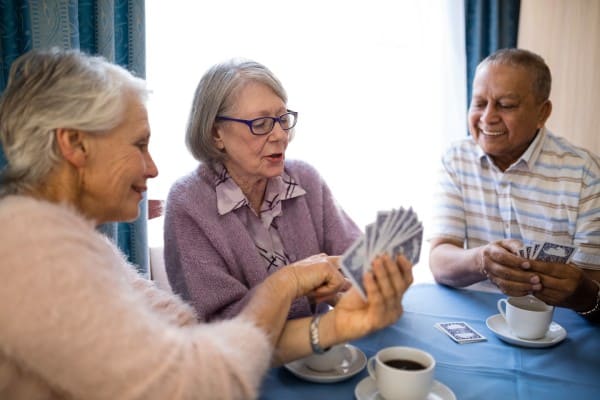 Elison Park | Seniors playing cards