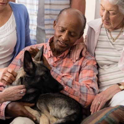 Elison Park | Seniors petting a dog