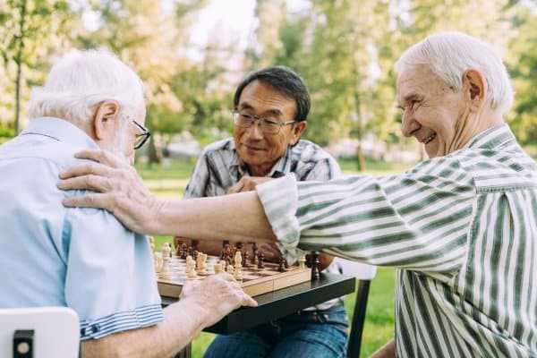 Elison Park | Group of seniors playing chess in the park